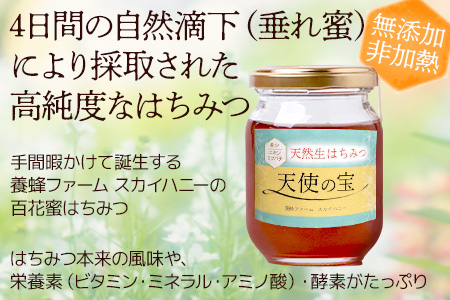 【垂れ蜜】日本みつばち 蜂蜜「天使の宝」2個 セット 希少 ニホンミツバチ 100％ はちみつ 高純度 高濃度 自然落下 無添加 ハチミツ 蜂蜜 ハニー ハチミツ