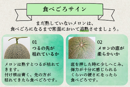 【2026年6月上旬順次発送 先行予約】大玉 肥後グリーンメロン 2玉 約4.6kg以上 熊本県産【 果物 フルーツ グリーンメロン 先行予約 4.6kg 青肉 期間限定 数量限定 熊本県 多良木町 】