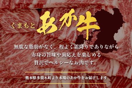 くまもとあか牛 肩ロース 焼肉用 計500g 熊本県 ブランド牛 肉 ヘルシー 赤身 牛肉 ジューシー 赤身 お肉 あか牛 赤牛 カット 焼き肉 やきにく ヤキニク BBQ バーベキュー 炒め物 ごちそう 105-0504