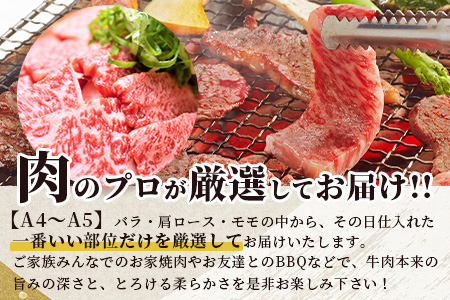 【 A4～ A5 等級 】くまもと黒毛和牛 焼肉用 500ｇ