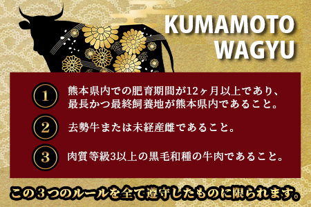 《12月終了》【訳あり】くまもと黒毛和牛 切り落とし 800g ( 400g ×2 ) 本場 熊本県 黒毛 和牛 ブランド 牛 肉 上質 くまもと 訳アリ 113-0502