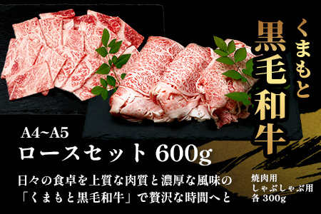【定期便6回】A4・A5 くまもと黒毛和牛 ロース セット 計600g ( すき焼き / 焼肉 各300g )×6回 お届け 本場 熊本県 ブランド 牛 黒毛 和牛 厳選 A4以上 肉 上質 熊本県 すきやき 焼き肉