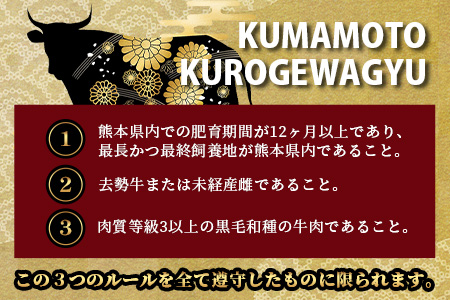 【定期便6回】《 訳あり 》くまもと 黒毛和牛 焼肉 切り落とし 600g ×6回 お届け 本場 熊本県 黒毛 和牛 ブランド 牛 肉 焼き肉 やきにく 上質 くまもと 訳アリ 113-0519