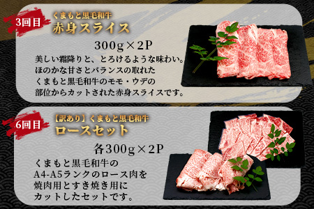 《12月終了》【定期便6回】くまもと黒毛和牛 家族でお楽しみ定期便 《 ロース すき焼き 焼肉 赤身 ハンバーグ10個 》【合計4.1kg】黒毛 和牛 焼き肉 すスキヤキ 焼き肉 上質 ブランド牛 国産 牛肉 冷凍 熊本県