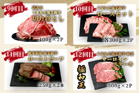 【定期便12回】くまもと 黒毛和牛 を味わい尽くす！1年12回配送 定期便 【合計 9.06kg】本場 熊本 黒毛 和牛 ブランド 牛 肉 すき焼き 焼肉 しゃぶしゃぶ ハンバーグ ステーキ ローストビーフ 上質 熊本 113-0550