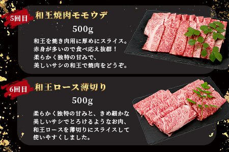 【定期便6回】くまもと黒毛和牛【 和王 堪能 定期便 】6回配送 ブランド牛 プレミアム 定期便 サーロイン ヒレ ステーキ 最上級 黒毛 和牛 牛肉 国産 A4 A5 熊本県 冷凍