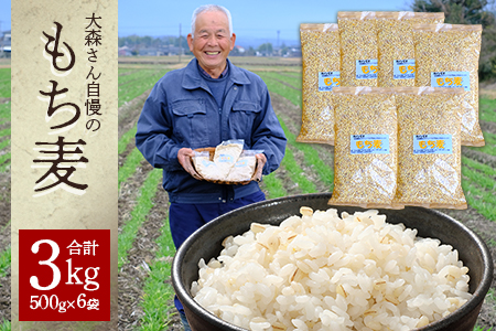 【 熊本県産 もち麦 】3kg(500g×6袋) 白米 と 炊くだけ！【 もちもち 食感 ぷちぷち  食物繊維 炊飯 健康 高栄養 ポリフェノール  熊本県 多良木町産 】065-0589