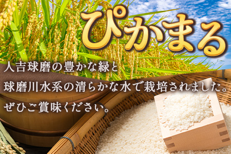 【R6年産米 定期便2回】多良木町産 『ぴかまる』 10kg(5kg×2)×2回 【計 20kg 】 定期便 定期配送 精米 お米 米 艶 粘り 甘み うま味 もちもち 熊本のお米 20キロ 熊本県 多良木町 044-0592
