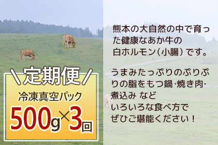 【定期便3回】熊本あか牛 白ホルモン 計1.5Kg (250g×2)×3回 冷凍真空パック【 熊本 熊本県産 あか牛 冷凍 真空 もつ鍋 ホルモン 焼き肉 】 041-0139