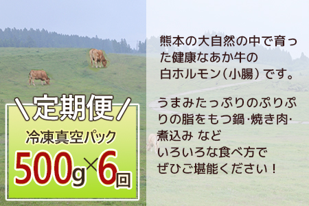 【定期便6回】熊本あか牛 白ホルモン 計3Kg (250g×2)×6回 冷凍真空パック【 熊本 熊本県産 あか牛 冷凍 真空 もつ鍋 ホルモン 焼き肉 】 041-0140