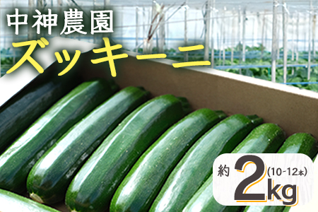 産地直送】中神農園のズッキーニ 約2kg (10～12本) 【期間限定：11月下旬～5月下旬発送】野菜 ズッキーニ 熊本県 多良木町 国産 新鮮 2キロ  071-0506: 多良木町ANAのふるさと納税