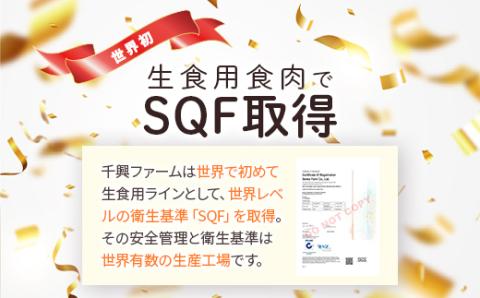 【熊本 馬刺し】 6種馬肉バラエティ食べ比べセット 約540g タレ付き 冷凍  生食 刺身 SQF 安全 高品質 馬肉 031-0437