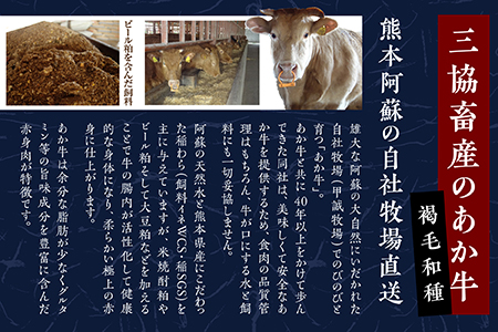 【餃子】 熊本和牛 あか牛 ぎょうざ セット ＜熊本あか牛餃子20個入り×2箱＞ 046-0632