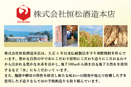 【 チューハイ の 素 !!】 檸檬徹宵 500ml × 1本 25度 芋焼酎使用 ソーダ割り で 果実感 たっぷり の レモン サワー 040-0293