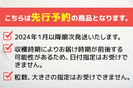【2024年1月下旬発送開始】球磨産 イチゴ 250g×4パック 先行予約 苺 いちご 【 フルーツ 果物 春 名産 熊本 多良木町 ビタミン 旬 先行予約 くだもの 】004-0038