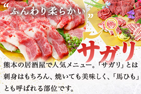 ３種の馬刺し 300ｇ【赤身・フタエゴ・サガリ各100ｇ】 馬刺し 冷凍 馬肉 定番 熊本県 多良木町 ばさし