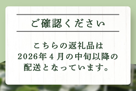 【2026年分 予約】 先行予約 グラバーメロン 3玉 (約3kg) 熊本県 多良木町産 フルーツ 果物 高糖度 甘い メロン ぐらばー めろん 熊本メロン 2026年4月中旬～発送開始
