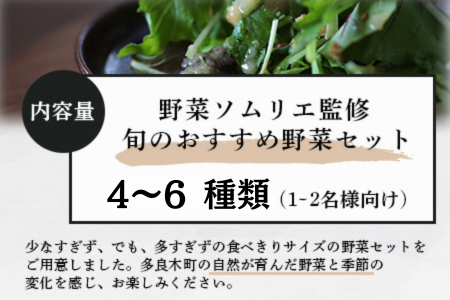 【数量限定】野菜ソムリエ 監修 旬の おすすめ 野菜 セット ４?6品 (1?2名様向け) 野菜 獲れたて 直送 旬 熊本県 多良木町 調味料 024-0801