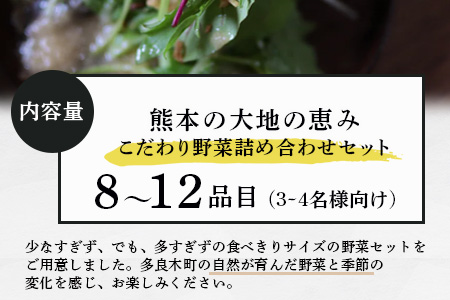 熊本の大地の恵み 旬の こだわり野菜詰め合わせセット 8〜12品 （3〜4名様向け）野菜 獲れたて 新鮮 野菜 セット 詰め合わせ 詰合せ 産地 直送 国産 季節 野菜 家族 ファミリー 多良木町 024-0809