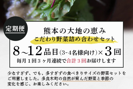 【定期便3回】熊本の大地の恵み 旬の こだわり野菜詰め合わせセット 8?12品 （3?4名様向け）3回配送 獲れたて 新鮮 野菜 セット 詰め合わせ 詰合せ 定期便 産地 直送 国産 季節 旬野菜 家族 ファミリー 多良木町 024-0810