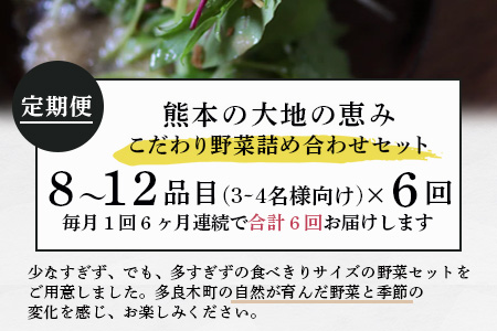 【定期便6回】熊本の大地の恵み 旬の こだわり野菜詰め合わせセット 8?12品 （3?4名様向け）6回配送 獲れたて 新鮮 野菜 セット 詰め合わせ 詰合せ 定期便 産地 直送 国産 季節 旬野菜 家族 ファミリー 多良木町 024-0811