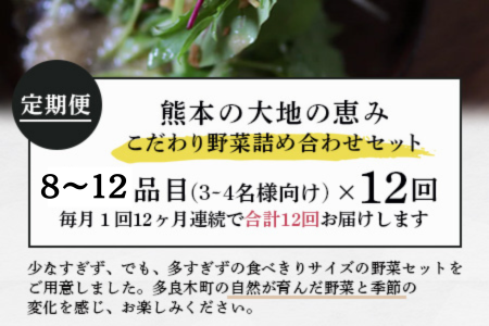 【定期便12回】熊本の大地の恵み 旬の こだわり野菜詰め合わせセット 8〜12品 （3〜4名様向け）12カ月配送 獲れたて 新鮮 野菜 セット 詰め合わせ 詰合せ 定期便 産地 直送 国産 季節 旬野菜 家族 ファミリー 多良木町 024-0812