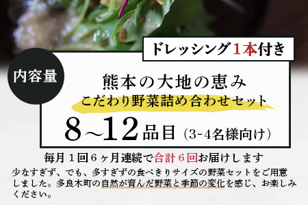 【定期便6回】熊本の大地の恵み≪ 野菜で野菜を食べる ≫ 旬のこだわり 野菜 ＆ドレッシング セット (3?4名様向け) 野菜 獲れたて 8～12品 直送 旬 新鮮 定期便 野菜ドレッシング 詰め合わせ 詰合せ 熊本県 多良木町 024-0815