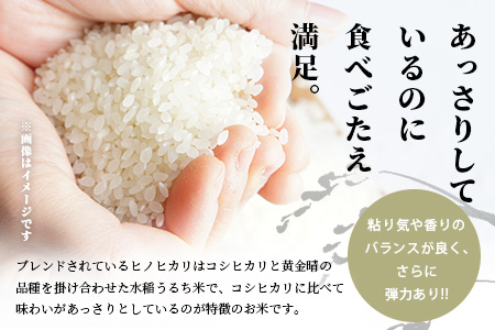 令和7年産 精米 「ふる里からの贈り物」10kg 国内産 ひのひかり ヒノヒカリ 未検査米 ブレンド米 白米 お米 熊本県 多良木町 036-0178