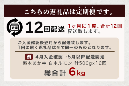 【定期便12回】熊本あか牛 白ホルモン 500g (250g×2)×12回 【 合計 6Kg 】 冷凍真空パック【 熊本 熊本県産 あか牛 冷凍 真空 もつ鍋 ホルモン 焼き肉 】 041-0163