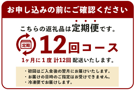 【 定期便 12回 】 熊本県 馬スジ 1㎏（ 500g×2 ） × 12回 【 合計 12kg 】 【 馬肉 すじ肉 大容量 本場 熊本県 馬 赤身 煮込み カレー シチュー 冷凍 真空 熊本 肥育 ヘルシー 赤身 肉 高栄養 肉 】 041-0169