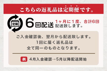 【定期便6回】ペット用 熊本加工 馬肉 切り落とし【 1kg ×6回配送 】 合計 6キロ ドッグ フード 無添加 無香料 ヘルシー 高栄養 馬刺し 冷凍 お肉専門店 熊本県 国内加工 041-0503 定期便6回