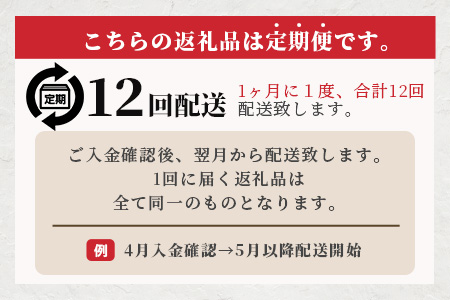 【 定期便12回 】ペット用 手作り 馬肉 ジャーキー 熊本加工 【100g×12回】 ドッグ フード ペット おやつ 食事 無添加 無香料 ヘルシー 高栄養 馬肉 ペット お肉専門店 1年 定期便 熊本県 馬肉 国内加工 041-0512 定期便12回