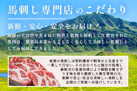 熊本県 桜屋 馬刺し スライスセット6種 計600ｇ【 特上トロ・トロ・霜降り・特選赤身・特上赤身・上赤身　各100ｇ 熊本県 多良木町 ふるさと納税 馬刺し 肉 ヘルシー 赤身 本場 】 050-0345