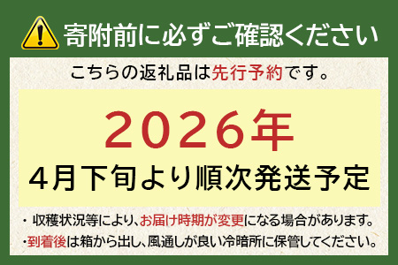 【先行予約】熊本県産 玉ねぎ 5kg (16玉前後) ≪2026年4月下旬から順次発送≫ 玉葱 野菜 数量限定 JAS たまねぎ オニオン 甘い ハンバーグ 肉じゃが 065-0636