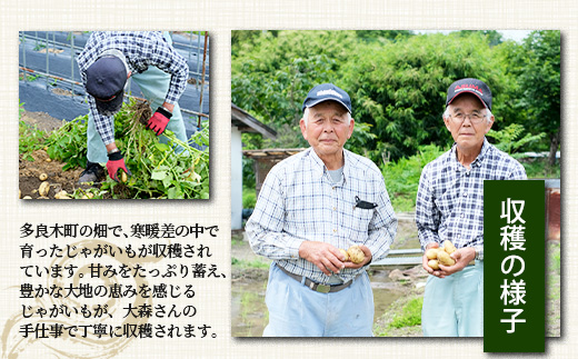大森さんの じゃがいも 食べ比べセット 約5kg メークイン ／アンデス 熊本県 多良木町産 ジャガイモ じゃが芋 野菜 ポテト 数量限定 065-0701