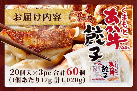 年内発送【餃子】 くまもとあか牛 100％ 餃子 計 60個（20個×3パック） 冷凍 熊本県産 あか牛 ぎょうざ 餃子 大容量 和牛 牛肉 お手軽 簡単 年内発送 年末 年始 073-0403