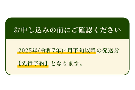 【2025年5月上旬以降発送分 先行予約】熊本県産 アンデスメロン 2玉 計約3kg  特大 果物 フルーツ 旬 ネット メロン 熊本県 多良木町 農家直送