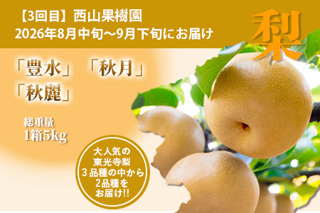 【フルーツ 定期便 3回】2026年発送 多良木町産 いちご・メロン・梨 各2種 食べ比べ 3回配送 数量限定 東光寺梨 西山果樹園 木村メロン園 坂下農園 イチゴフルーツ 果物 名産 熊本