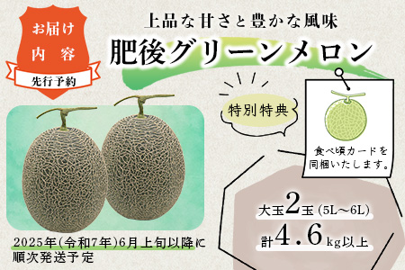 【2026年6月上旬順次発送 先行予約】大玉 肥後グリーンメロン 2玉 約4.6kg以上 熊本県産【 果物 フルーツ グリーンメロン 先行予約 4.6kg 青肉 期間限定 数量限定 熊本県 多良木町 】