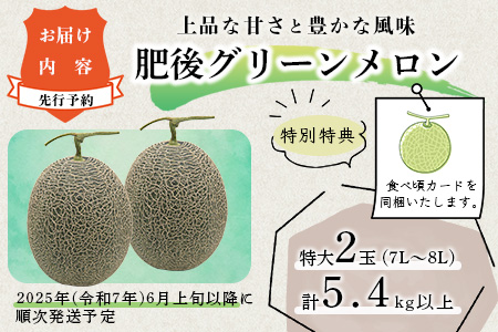 【2026年6月上旬から順次発送 先行予約】 特大 肥後グリーンメロン 2玉 約5.4kg以上 【 果物 フルーツ グリーンメロン 先行予約 5.4kg 青肉 期間限定 数量限定 熊本県 多良木町 】 101-0002