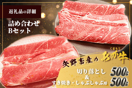くまもとあか牛 詰合せBセット 《 切り落とし500g・すき焼きしゃぶしゃぶ用500g 》  計1kg  熊本県 ブランド牛 肉 ヘルシー 赤身 牛肉 105-0509