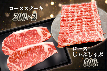 くまもとあか牛食べ尽くしセット 《 ハンバーグ・切り落とし・すき焼きしゃぶしゃぶ用・カルビ焼肉用・肩ロースすき焼きしゃぶしゃぶ用・肩ロース焼肉用・ロースステーキ・ロースしゃぶしゃぶ 》計4.15kg 105-0514