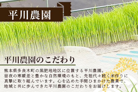 令和7年産新米【玄米 30kg】 くまさんの輝き 30kg (令和7年10月中旬より順次発送) 新米 熊本県 多良木町 お米  米 玄米