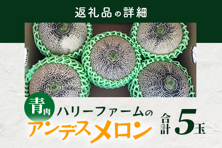 【2026年5月上旬～発送】アンデス メロン 青肉 5玉 (合計 約4.5～5kg) 熊本県 多良木町産 果物 フルーツ メロン 先行予約 5個 青肉 ミツバチ交配 期間限定 数量限定 先行予約 109-0501