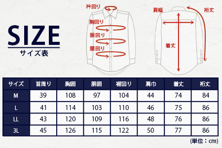 HITOYOSHI テックシャツ 長袖 セミワイド 2枚セット【サイズ：2L】 イージーケア 年間素材 速乾 軽量 日本製 白 ブルーグレー HITOYOSHI シャツ クールマックス 紳士用 110-0806-3L 3L