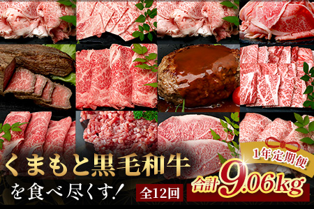 【定期便12回】くまもと 黒毛和牛 を味わい尽くす！1年12回配送 定期便 【合計 9.06kg】本場 熊本 黒毛 和牛 ブランド 牛 肉 すき焼き 焼肉 しゃぶしゃぶ ハンバーグ ステーキ ローストビーフ 上質 熊本 113-0550