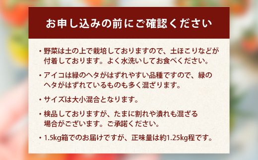 【先行予約 2026年3月より順次発送】【産地直送】熊本県産 ミニトマト「アイコ (赤色)」約1.25kg 国産トマト アイコ とまと 甘い 熊本 多良木町 農園直送 新鮮 フルーツトマト フルーティ 020-0532