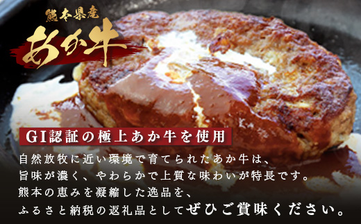【GI認証】くまもとあか牛ハンバーグ 150g×6個 《ご家庭用》 あか牛 100％ ハンバーグ 赤身 冷凍 熊本県産 あかうし はんばーぐ 惣菜 おかず 和牛 牛肉 オオツカ 073-0413