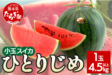 【2026年5月上旬～発送】小玉スイカ ひとりじめ(1玉/4.5kg以上) 令和8年 予約 小玉 すいか スイカ 果物 くだもの フルーツ 008-0663