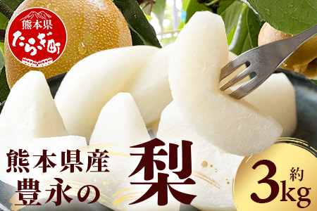【2026年8月中旬～10月発送分】 多良木町産 豊永の 梨 約3kg フルーツ 果物 梨 旬 070-0593
